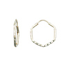 Faceted Hexagon Hoops