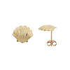 Shell Earrings