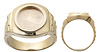 Zodiac Ring