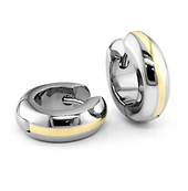 18K Plated Gold Titanium Earrings
