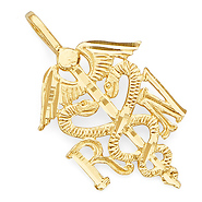 Nurse Medical Charm
