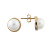 14K Yellow Gold Bezel White Pearl Stud Earrings