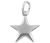Silver Star Charm