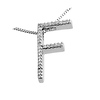 14K Diamond Initial F Pendant