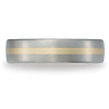 6mm Two Tone 18k Titanium Band