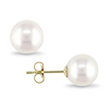 9 - 9.5 MM Freshwater Pearl Stud Earrings 14k Gold Yellow 14k Gold Yellow