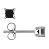1/4 CT Black Diamond TW Stud Earrings 14k Gold White 14k Gold White I2;I3