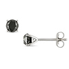 3/4 CT Black Diamond TW Stud Earrings 14k Gold White 14k Gold White I2;I3