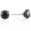 2ct 14K White Gold Round Cut Black Diamond Stud Earrings