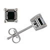14K White Gold 0.50 ct. Black Diamond Princess Cut Stud Earrings