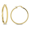 Yellow Stainless Steel Earrings w/ Rd Cubic Zirconia