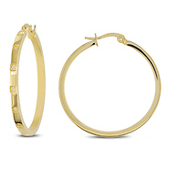 Yellow Stainless Steel Earrings w/ Rd Cubic Zirconia