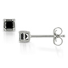 10KW 0.25 CT TDW Princess Cut Black Diamond Solitaire Earrings