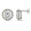 Silver 24.50 CT TGW 12mm Center & 1.75mm Accent Round Cubic Zirconia Earrings with butterfly backs