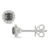 14K White Gold 0.50 CTW Black & White Diamond Ear Pin Earrings