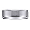 Titanium 6mm Brushed & Polished Finish Wedding Band (Size 12)