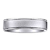 Titanium 5mm Flat Brushed & Polished Finish Wedding Band (Size 8.5)