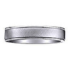 Titanium 4mm Flat Brushed & Polished Finish Wedding Band (Size 9)