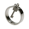 Stainless Steel Key Dangle Ring