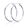 Silver Hoops