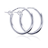 Small Silver Hoops