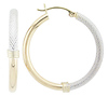 Two Tone Hoops