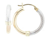 Two Tone Hoops