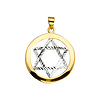 Encircled Diamond-Cut Star of David Pendant in 14K Two-Tone Gold thumb 1